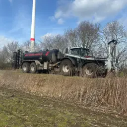 Lisier de porcs à l'engrais disponible | Région Rhede-Papenburg