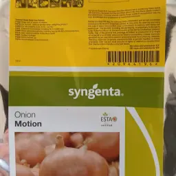 Uienzaad Motion te koop - Hoge kwaliteit, oogstjaar 2026