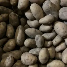 Spunta PB4 Картофи: Сертифицирани семена