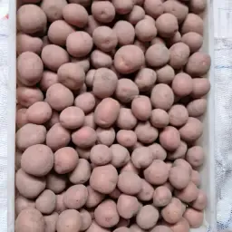 Картофи Bildtstar - Сертифицирани и на изгодна цена!