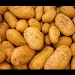 Πιστοποιημένες πατατόσποροι Fontane - Κορυφαία ποιότητα