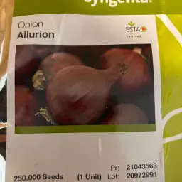 Червона насіннєва картопля Allurion | Оброблена та необроблена