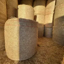 Hooibalen te koop - Top kwaliteit, droge opslag