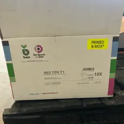 Semințe Red Tide grunduite de vânzare - 11 saci