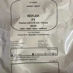 Semințe de ceapă roșie Red Flash (8-10 E) de vânzare