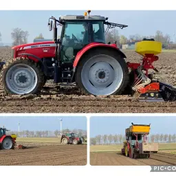 Farmland Wanted: Lily Cultivation in North-East Polder