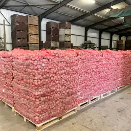 Rote Kartoffeln 50+ gesucht | Weiß- und Gelbfleischig