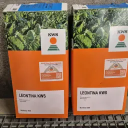 Semințe Leontia KWS Buteo 2026 – Lot Rămas