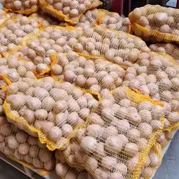 Hochwertige Eigenheimer & Bildtstar Kartoffeln zu verkaufen