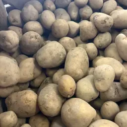 1 тонна насіннєвої картоплі преміумкласу 35/55