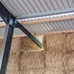 Strobalen te koop – Tarwe of Gerst