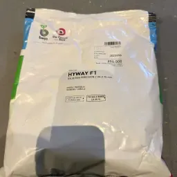 Semințe Hyway 2026 - 3 Unități Semințe Tratate