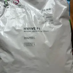 Hyfive F1 Frø Til Salg - Uåbnet & Høj Kvalitet