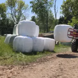 Kuilvoer Ronde Balen Te Koop - Oogst 2025, 2e Snede