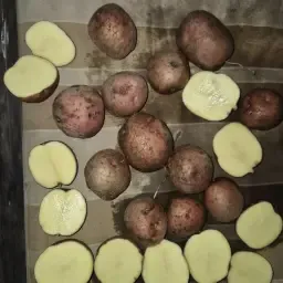 Lady Rosetta Aardappelen - 70 Kisten Ongezuiverd Product