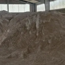 Getreide geschrotet: 50-75t Weizen/Triticale zu verkaufen