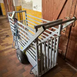 Kalverweegschaal van Patura te koop