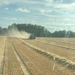 Looking for windrowed straw for harvest 2026, Rotenburg (Wümme)