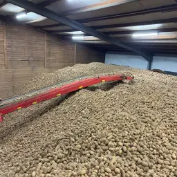 Markies &amp; Agria aardappelen - Perfecte frietkwaliteit