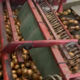 Multisep/kluitenscheider huren voor Fusarium uien