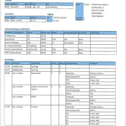 Pommes de terre Lady Rosetta - Calibres 28/35 & 35/55