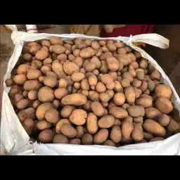 Voeder aardappelen te koop - Grote &amp; kleine hoeveelheden