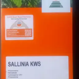 Rübensamen Sallinia KWS - Buteo start 2026