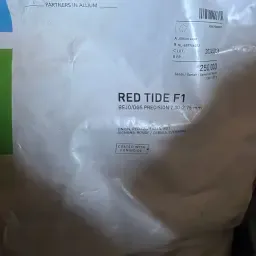 Rote Red Tide Zwiebelsamen - 5 kg für hohe Erträge