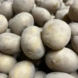 Pootaardappelen Bintje A - Diverse maten beschikbaar