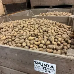 Cartofi Spunta 28/35 - 1250kg, Clasa S, Gata de export