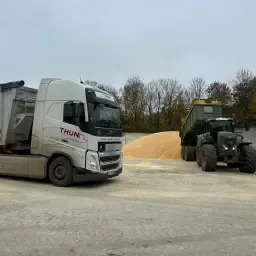 Kornermaismehl direkt vom Feld in Schleswig-Holstein