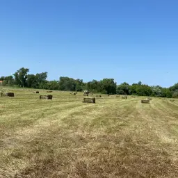 Kwaliteit Hooibalen te Koop - Eerste Snede