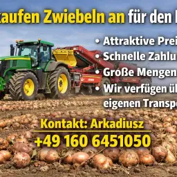 Lilli Arkadiusz Kowalik