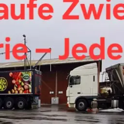 Grote hoeveelheid uien kopen voor industrieel gebruik