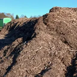 Așternut din sol forestier: Așternut natural vrac pentru păsări