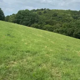 Fân de vânzare în Bad Münstereifel-Holzem