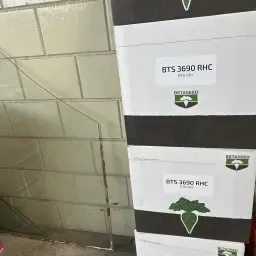 Semințe de sfeclă de zahăr BTS 3690 RHC - Cosun