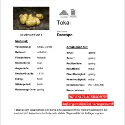 Chips Kartoffelvermittlung für Italien (März-Mai 2027)