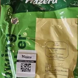 Semințe Nico Hazera &amp; Hyway - Semințe de legume de calitate