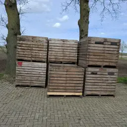 Lăzi de cartofi gratuite - 31 de bucăți disponibile