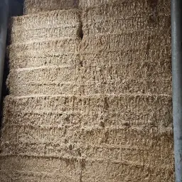 Paie de orz pe vânzare - 27 de baloți disponibili