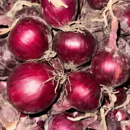 Ceapă roșie de vânzare - 200 tone, calibru mare