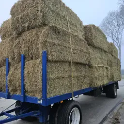 Baloți mari de fân de fâneață de vânzare