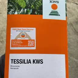 Semințe de Sfeclă Tessilia KWS - 2 Pachete