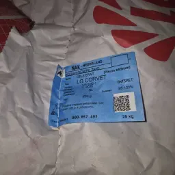 Semences de pois jaunes - Semences traitées pour 2026