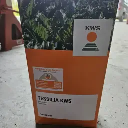 Tessilia Force - Pack günstig kaufen