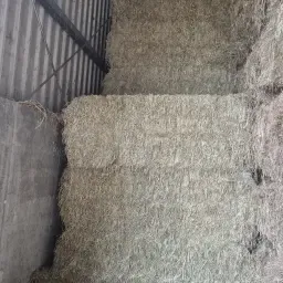 Akkergras Hooi Te Koop - Natuurlijk Gedroogd, Hoge Kwaliteit