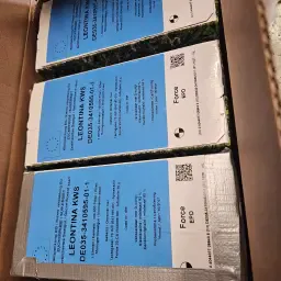 Leontina KWS Saatgut zu verkaufen