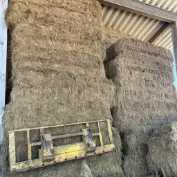 Hooi Vierkante Balen Oogst 2024/2025 – Veldgras