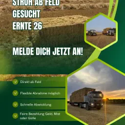 Stro te koop: Rechtstreeks van het land, oogst 2026